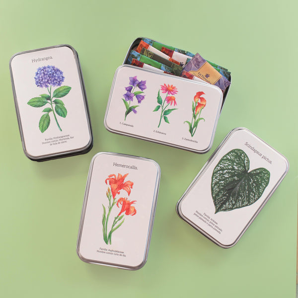 Colección Herbario 2.0  - Cajas Metálicas x 12 Infusiones Especiales (Elige el diseño)